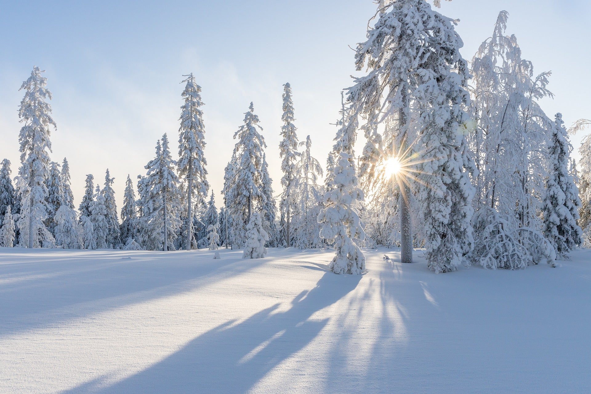 Winterlandschaft als Symbol für die Notwendigkeit von warmen Winterdecken